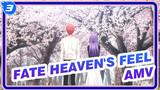 Fate Heaven's Feel AMV_3