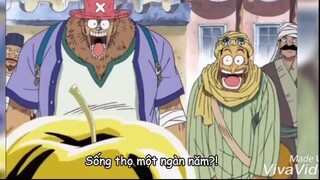 Usopp và Chopper bị lừa mua táo vàng #onepiece