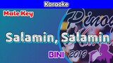Salamin, Salamin by BINI (Karaoke : Male Key)