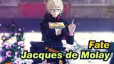 [Fate/MMD] Jacques de Molay