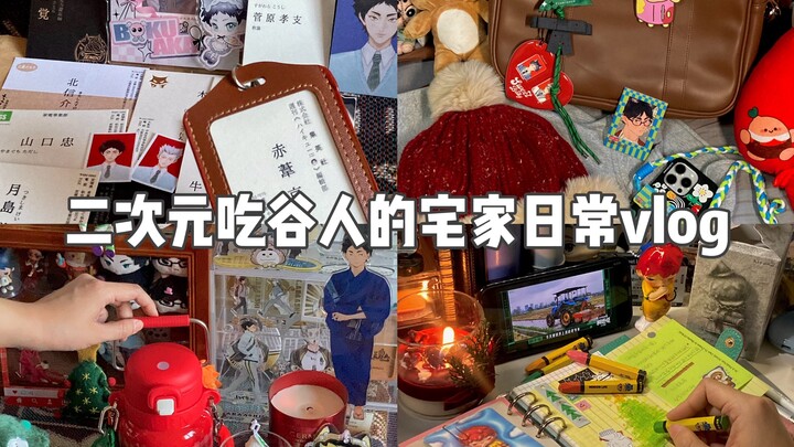 vlog/二次元吃谷人的日常宅家记录/圣诞礼物/排球少年谷子/小红薯周边/晚间手帐