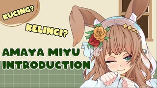 Let's Know Amaya Miyu in 5 minutes
