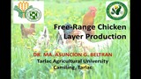 FREE RANGE CHICKEN LAYER PRODUCTION