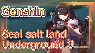 Seal salt land Underground 3