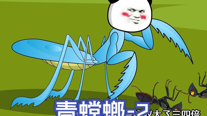 螳螂大战蚂蚁，强化镰刀足
