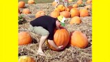 Pumpkin Spicing Things Up With These Funny FALL FAILS  | Funny Videos