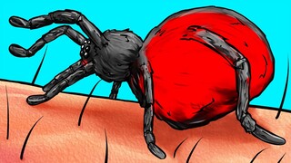 What Will Happen If a Spider Bites You