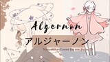 Algernon (アルジャーノン) by Yorushika (ヨルシカ) Cover by me Jisun.ID