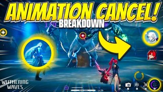 COMPLETE animation cancel GUIDE and Break Down (DETAILED)