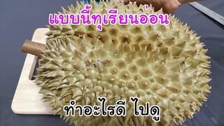 ทุเรียนอ่อน ทำอะไรดี มีคำตอบ