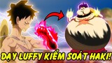 Người Giúp Luffy Thức Tỉnh Haki?! | Những Người Từng Làm Thầy Luffy trong One Piece