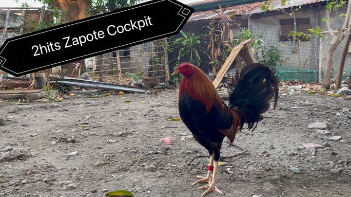 May 22, 2024 || 2hits New Zapote Cockpit. Abangan kaibigan! 🎖️🐓