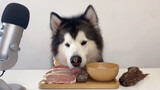 [Hewan] Alaskan Malamute | Hati Babi Beku & Makanan Lainnya