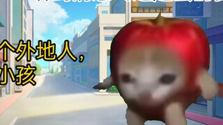 [Cat meme] Mở cửa lại ở tuổi 2, từ bé bị bỏ rơi thành con một