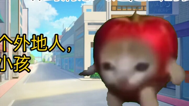[Cat meme] Mở cửa lại ở tuổi 2, từ bé bị bỏ rơi thành con một