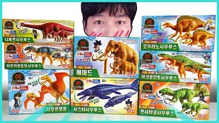 공룡메카드 더블피규어 매머드,디모르포돈,사스타사우루스,카르카로돈토사우루스,프시타코사우루스,오우라노사우루스,아크로칸토사우루스,니게르사우루스 8종류 미니 장난감을 언박싱 합니다.