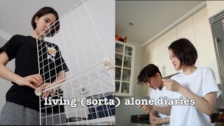 Living (sorta) Alone Diaries | Our 1 year anniversary in quarantine, Closet organizing, Eating A LOT