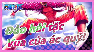 [Đảo hải tặc/MAD] Doflamingo--- Vua của ác quỷ! Người thắng cuộc đại diện công lý!