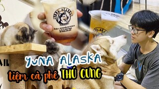 Dễ Thương hết nấc cùng dàn thú cưng "mũm mĩm" ở Tiệm Cà Phê YUNA ALASKA | Địa điểm ăn uống