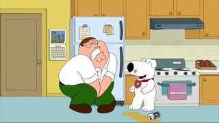 【Family Guy】Cotton Eye Joe