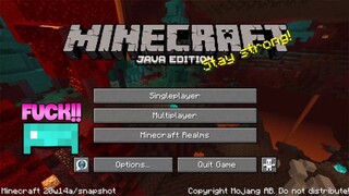 MINECRAFT SURVIVAL 1.16.EXE