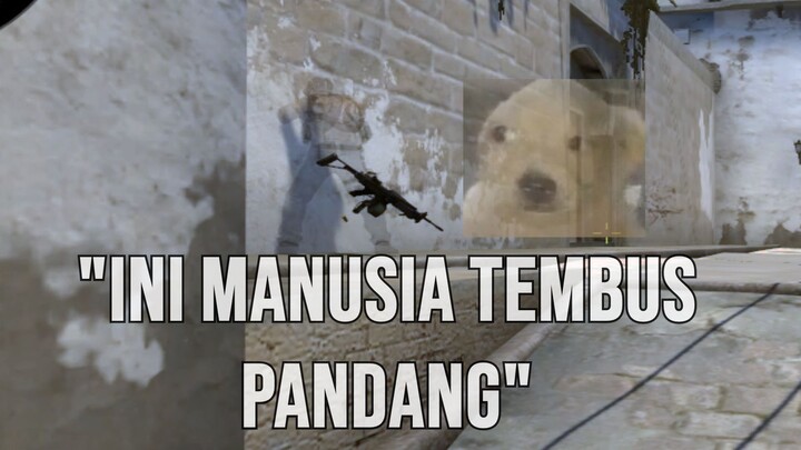 manusia tembus pandang | CSGO ID