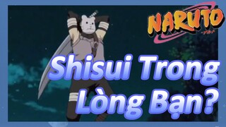 Shisui Trong Lòng Bạn?