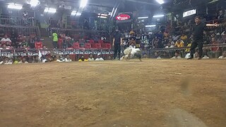 my kanawayan 2hit win