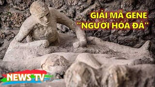 Giải mã gene "người hóa đá": Bí mật thành phố "vượt thời gian"