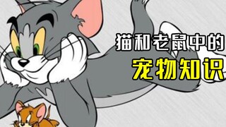 猫和老鼠中的猫咪冷知识，你都知道几个？