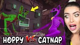 POPPY PLAYTIME CHAPTER 4 GOES OOF!? (MR DELIGHT, CATNAP'S GIRLFRIEND, & MORE!)