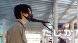 Nyanyian jalanan Jepang "たしかなこと" Kazuma Oda