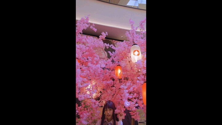 Help me take photos with these sakura trees! 📷: Ei Red Gun