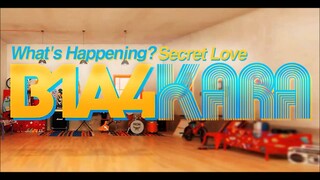 [MASHUP] B1A4_이게 무슨 일이야(What's Happening?) (Acapella.) + Hara (KARA SOLO)_Secret Love (Acapella.)