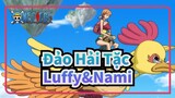 [Đảo Hải Tặc] Luffy&Nami--- Tình hữu nghị