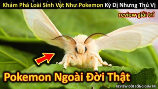 Hảo Hán Review Khám Phá Sinh Vật Là Pokemon Ngoài Đời Thật Cực Kỳ Dị || Review Giải Trí Đời Sống