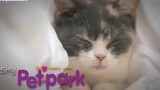 GFRIEND - Look After Our Dog Ep. 08