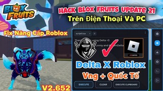 hướng dẫn hack blox fruits delta x vng fix update trên điện thoại cho người mới, chi tiết dễ hiểu