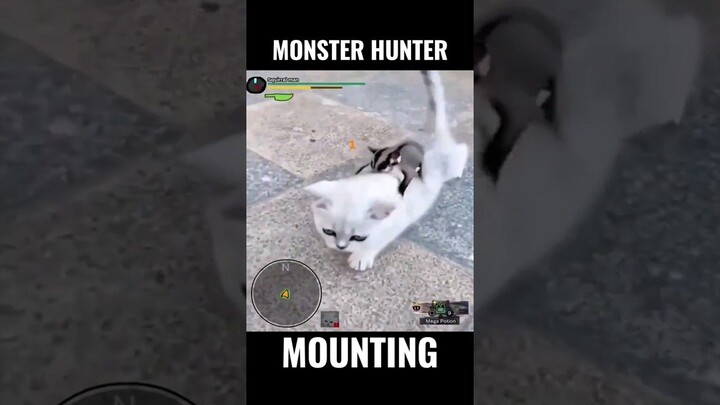 [Monster Hunter] The little white cat is "ridden" [Animator NCH]