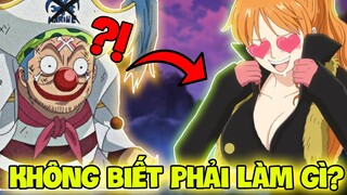 10 THANH NIÊN NÃO CAO SU NHẤT TRONG ONE PIECE | HƠN CẢ LUFFY?!