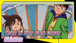 Thám tử lừng danh Conan
ShinRan