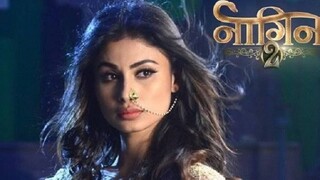 Review Naagin S1. Snake's terrible ancestor | Dubz indo