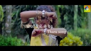 POGADI  New Tharu Video Song 2020  पोघरी पिनि के येवु