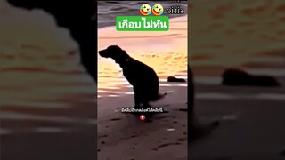 เกือบไม่ทัน