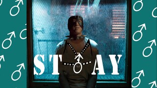 STAY♂