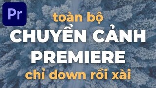 Toàn bộ CHUYỂN CẢNH - Premiere Pro 2021 (mới nhất)