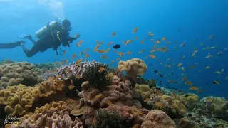 SCUBA diving in Anda, Bohol