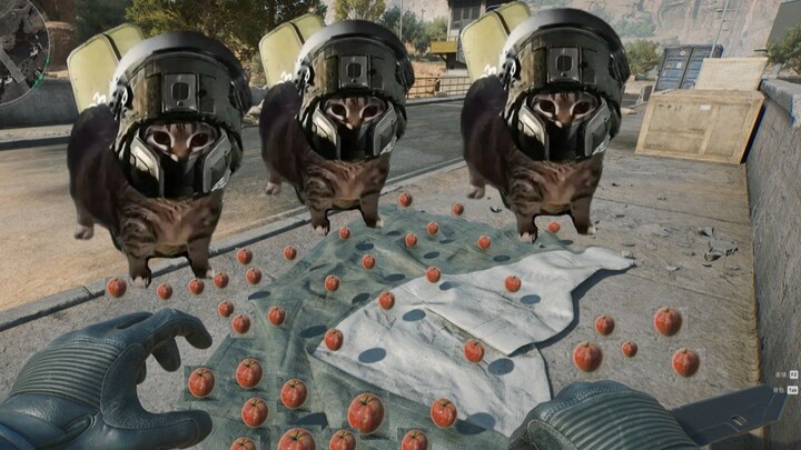 [Delta Operation] At the Trade Bridge, you can even set up a stall to sell apples