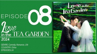 🇨🇳EP8 Love In The Tea Garden (2024)