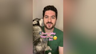 Ever wonder why your dog licks you? 😋learnontiktok